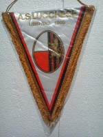 /album/lucca/a-s-lucchese-38-jpg/